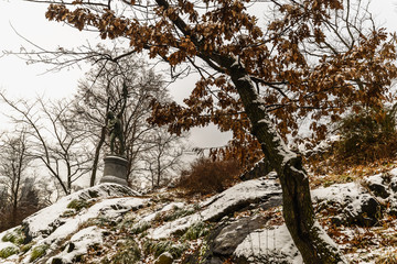 Winter in the Park - New York
