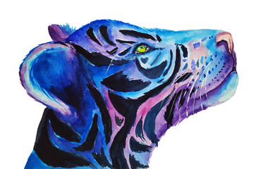 Aquarelltiger im Galaxienstil lokalisiert auf weißem Hintergrund. Aquarellmalerei des kleinen Tigers. Handgemalte Tierillustration. © Iryna