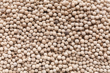 Organic spices concept