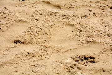 sand texture from sand pile