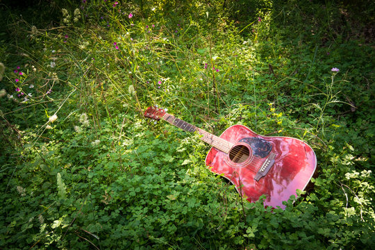 Close-up of acoustic guitar lying on a meadow and grass, vintage style with copy space