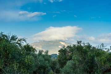 Fototapeta na wymiar Greece, Zakynthos, Magic glowing cloud hanging over green mountain behind olive grove