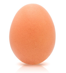 Egg isolated on white background with clipping path,Close up,Shadow