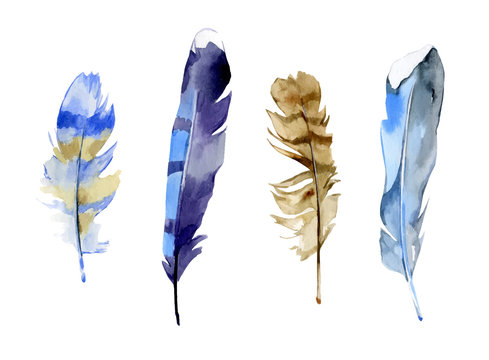 Set of colorful watercolor feathers on white background in vector format. Hand drawn tribal pen illustration. Nib in boho style.