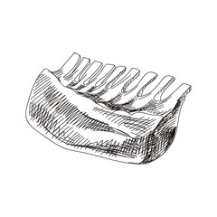 Beautiful vector hand drawn meat products Illustration.