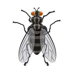 Isolated object of insect and fly sign. Collection of insect and element vector icon for stock.