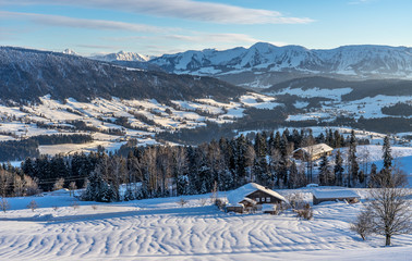 cold winter landscape  in evening light in the Allgaeu Alps near Oberstaufen, Bavaria, Germany