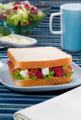 Deli and healthy sandwich with raspberry