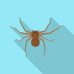 Vector design of insect and fly icon. Set of insect and element vector icon for stock.
