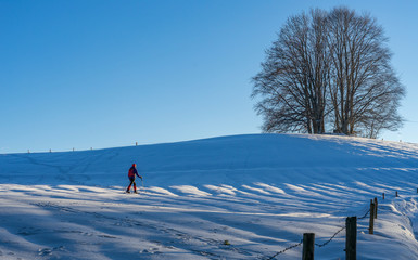 active senior woman snowshoeing in the Allgaeu Alps near Oberstaufen, Bavaria, Germany