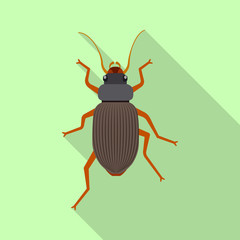 Vector illustration of insect and fly sign. Set of insect and element vector icon for stock.