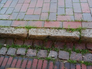 gray roughly carved curbs as a boundary of a sidewalk.  Red paving stones on the sidewalk and the gutter. In the joints easier weed growth
