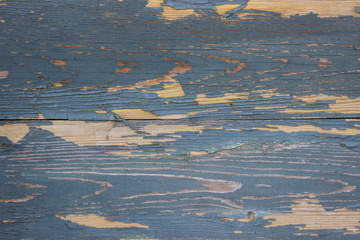 Wood texture - Image