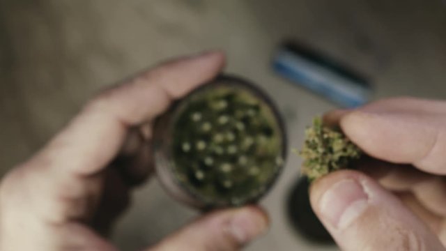 Moliendo cogollo de marihuana en un grinder
