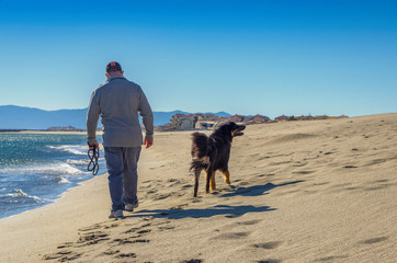 Friendship concept, man and his dog walking on beach.