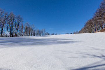 Fototapeta na wymiar Winter rural landscape with snowy meadow and trees covered with snow