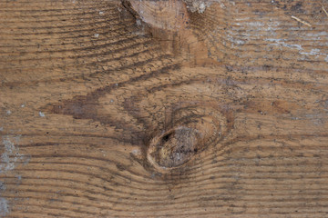 Wood texture - Image
