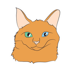 cat portrait, vector, white background