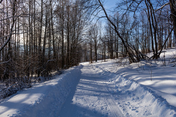 Winter road stretches into the distance and the snow-covered forest