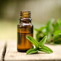 Natural Mint Essential Oil in a Glass Bottle with Fresh Mint Leaves