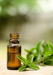Natural Mint Essential Oil in a Glass Bottle with Fresh Mint Leaves