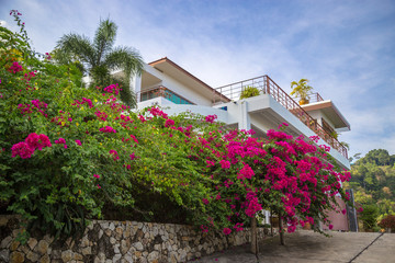 Caribbean, mediterranean style building with balcony covered with colorful flowers.