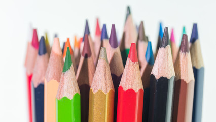 Set of bright multi-colored pencils on a white background