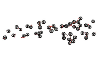 Fresh elderberries isolated on a white background, top view.