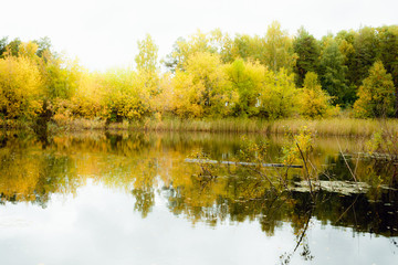 Lake in autumn forest landscape.