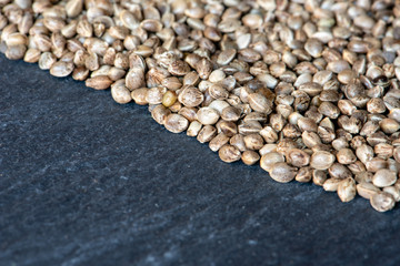background composed of medical hemp seeds