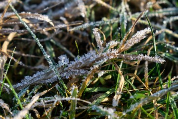 Macro of ice and snow coating during winter. Slovakia