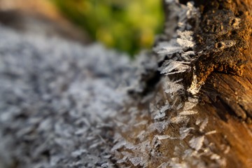 Macro of ice and snow coating during winter. Slovakia