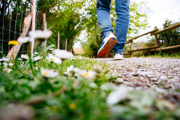 Man walking down a path in spring