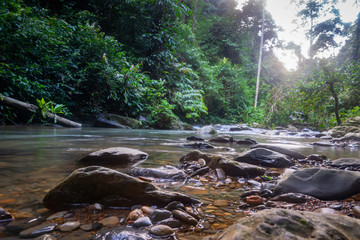 Naklejka na ściany i meble River in rainforest in the jungle of Bukit Lawang, North Sumatra, Indonesia.