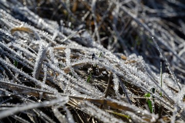 Macro of ice and snow coating during winter. Slovakia