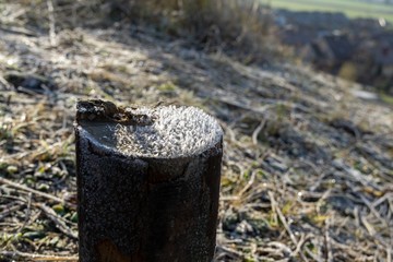 Obraz premium Macro of ice and snow coating during winter. Slovakia