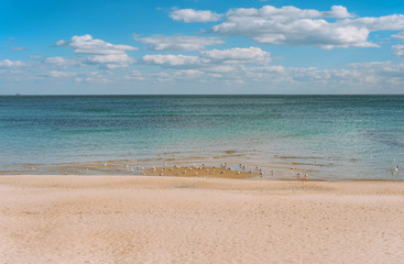 Fototapeta na wymiar Odessa beach Langeron