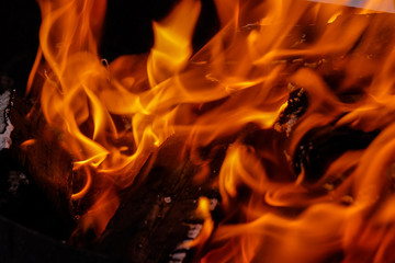 fire on black background