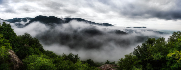 foggy morning in mountain