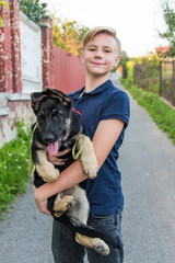 Naklejka na ściany i meble Cute teenage boy hugging a german shepherd puppy. Cute young woman with a puppy dog in nature.