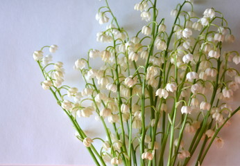 beautiful delicate elegant flowers lilies of the valley on a white background. moc up, postcard. spring freshness