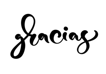 Fototapeta premium Gracias Vector text in Spanish Thank you. Lettering calligraphy vector illustration. Element for flyers, banner and posters print. Modern calligraphic