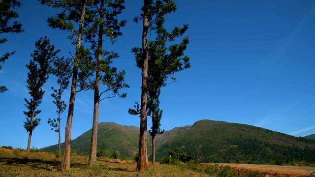 trees air time lapse mountains road landscape