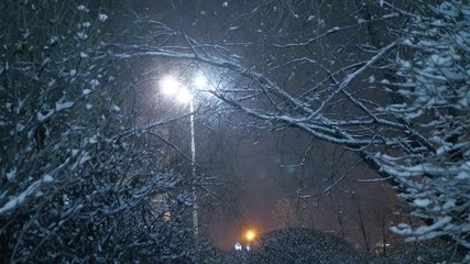 Snow falling on trees of night winter city park. Yekaterinburg, Russia. Slow motion, 4K UHD.