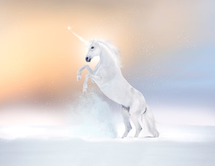 Obraz na płótnie Canvas White horse unikorn reared on a snow
