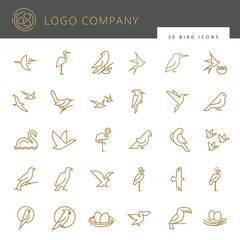 Flat birds icon set. Vector flat simple minimalistic bird logo. Birds icon, animal sign, symbol isolated on white background. Nature park, national zoo, pet shop logo, animal food store logo.  © Liudmyla Klymenko