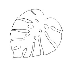 Palm texture illustration