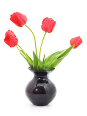 Bouquet of red tulips.
