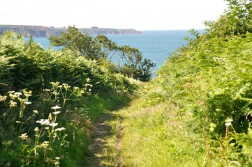 The Brittany coast