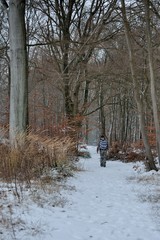 Randonneur dans la neige en forêt de Saint-Amand-les-Eaux dans le Nord. France